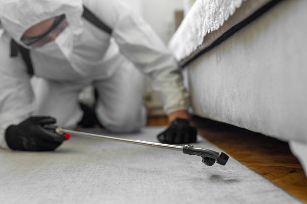 Professional Ant Control technician working in Cade, LA